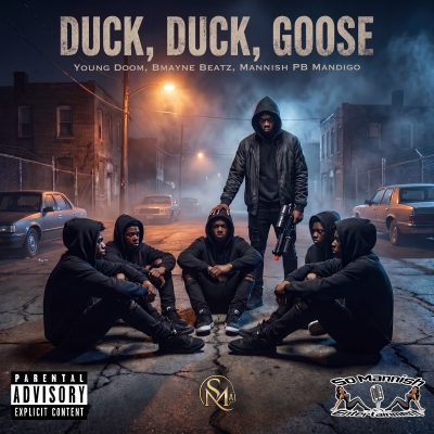 Duck, Duck, Goose cover